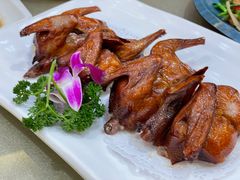 特价红烧乳鸽-丰尔粥食·顺德鱼生·干蒸排骨顺德菜(大良分店)