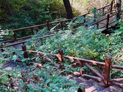 -大岭沟猕猴桃谷风景区