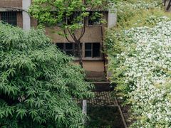 -四川大学(望江校区)