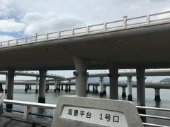 -演武大桥观景平台