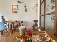 -猫小主咖啡·猫咖cat cafe(福田店)