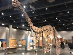 -香港科学馆