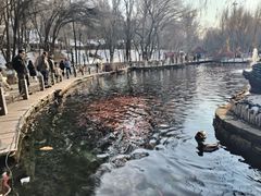 -水磨沟公园
