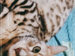 -刘家窑(地铁站)