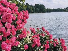 -上海辰山植物园