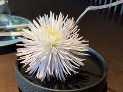 -大拙里·精致融合菜(沙湖桃源国际店)