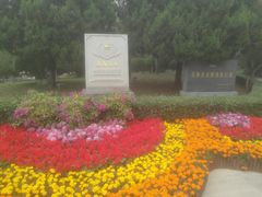 -百脉泉景区