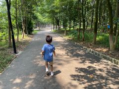 -中山市树木园