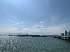 -演武大桥观景平台