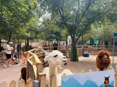 -水上乐园·欢乐世界