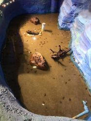 -酷嗒动物文化乐园(cutezoo西溪乐天城店)