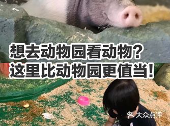 想去动物园看动物？ 比动物园更值当的地方在这里