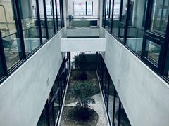 -上海市徐汇区口腔医院