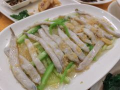 -巫记鸡饭店