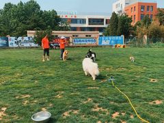 -趣玩宠物乐园寄养训犬训狗游泳池
