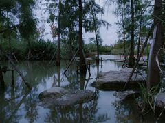 -上海长兴岛郊野公园