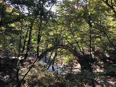 -内乡宝天曼生态旅游区