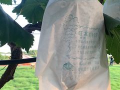 -美家乐农庄·露营·团建(大治路店)