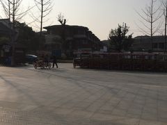 -八大山人梅湖景区