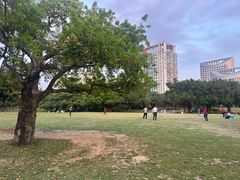 -南宁南湖公园
