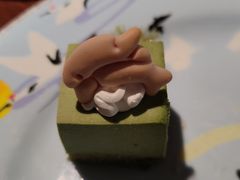 -松子料理(亮马桥店)