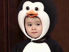 -将军关探险漂流