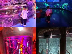 -沈阳海洋探索中心