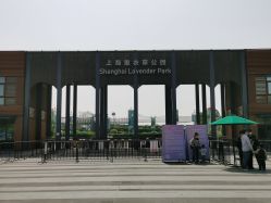 -季高兔窝窝亲子园(上海薰衣草公园店)