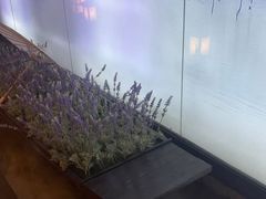 -上足·影院足道·SPA(红岭店)