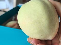 -老袁家蜜桃农场·阳山水蜜桃