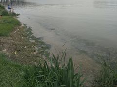 -灞河西岸滨河公园