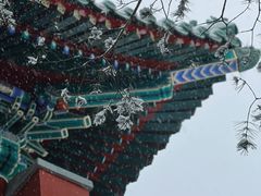 -颐和园