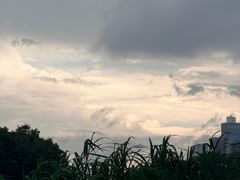 -海珠湖公园