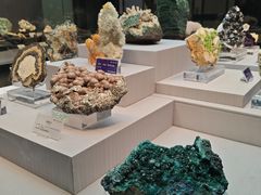 -湖南省地质博物馆