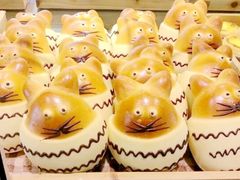 -多乐之日(五道口店)