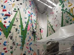 -绿壁虎攀岩基地(Tcar店)