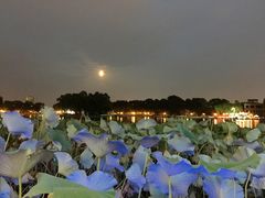 -小王府(什刹海店)