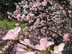 -长春市南湖公园