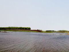 -蒲河岛湿地公园