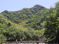-水墨汀溪风景区