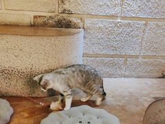 -逃脱反斗城沉浸剧情密室(北京路店)