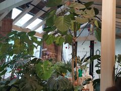 -GOTLOT COFFEE&KITCHEN角落厨房NOOK店