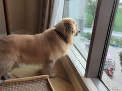 -阳澄湖费尔蒙酒店