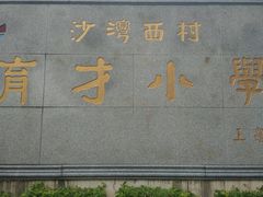 -针姨