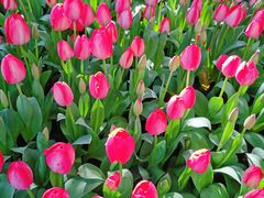 -杭州市第一人民医院(湖滨院区)