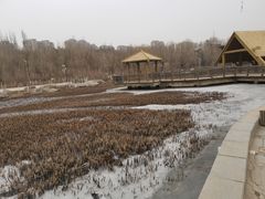 -成吉思汗公园