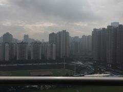 -晓小面