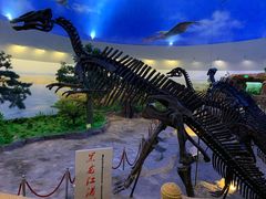-嘉荫恐龙国家地质公园