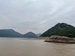 -花岙岛