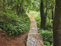 -普者黑风景区-青龙山